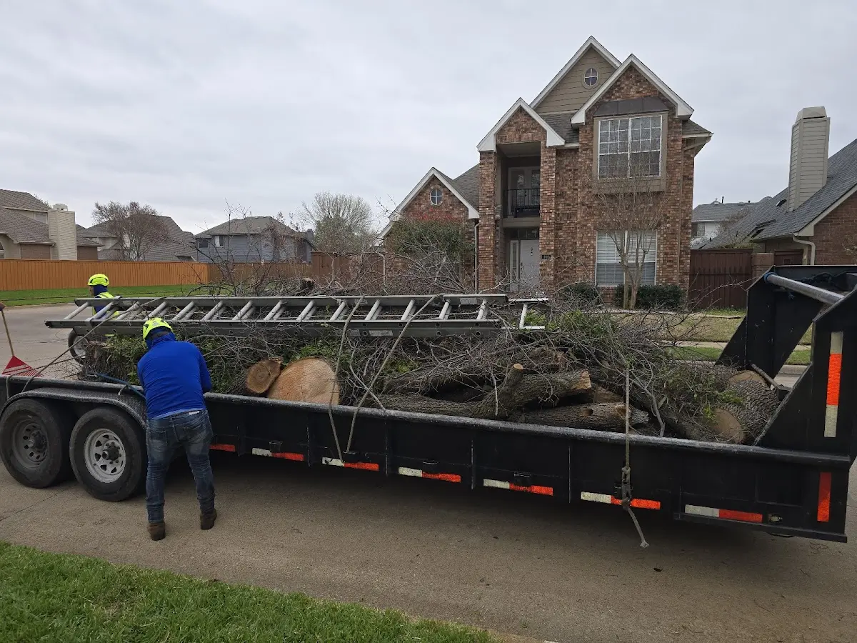 Expert Tree Pest Control with proper safety equipment in Pierre